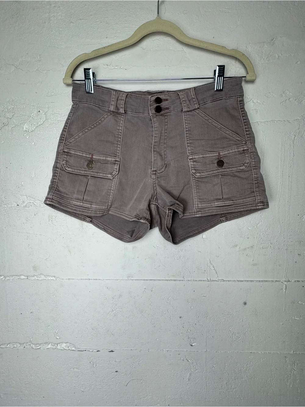 Pistola‎ Chester Cargo Shorts  Y2K Mauve Purple Brown Size Small 26